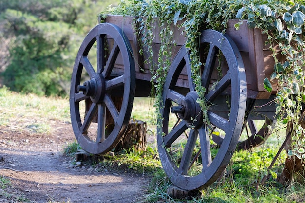 Photo old cart with big wooden wheels closeup