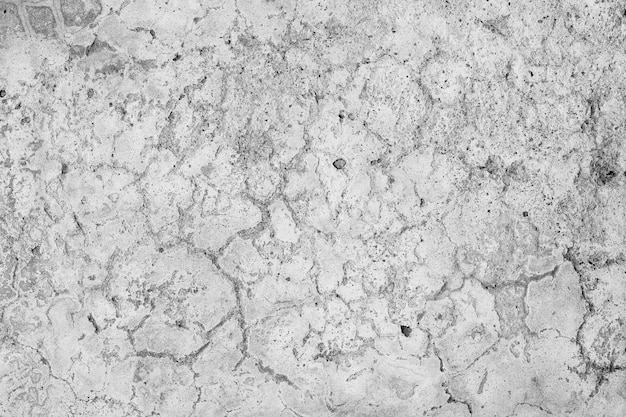 Old cement wall background White wall Grunge background