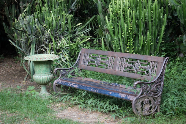 Old chairs in the garden