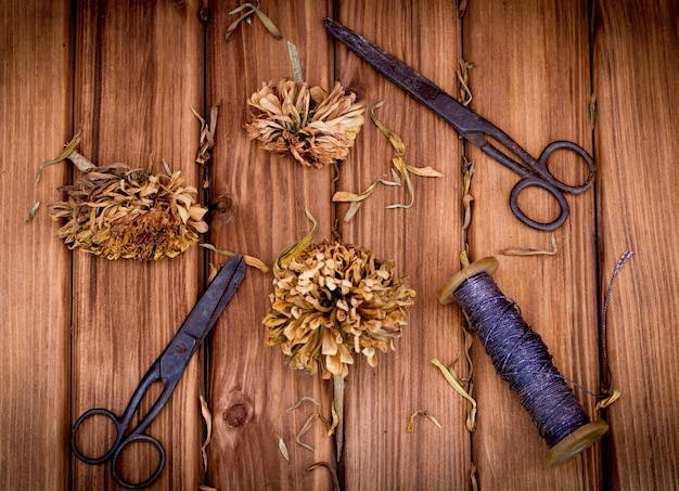 Old cissors and skein of thread with dried wild flowers