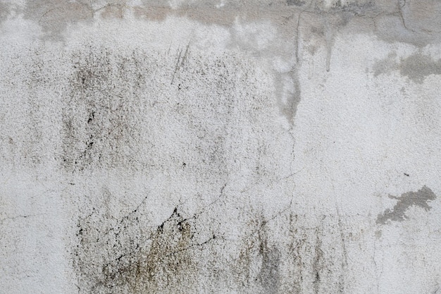 Old Concrete wall In black and white color cement wall broken wall background texture stone flor