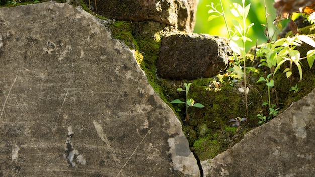 Old concrete wall texture picture