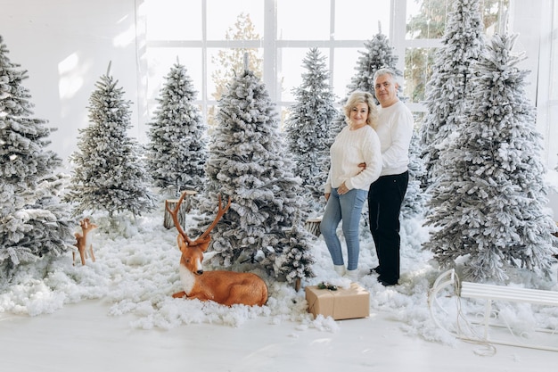 Old couple near Christmas tree