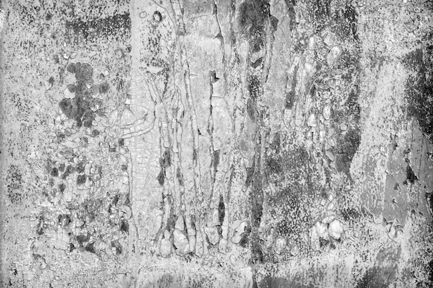 Old cracked rusty paint  background texture close-up black and white