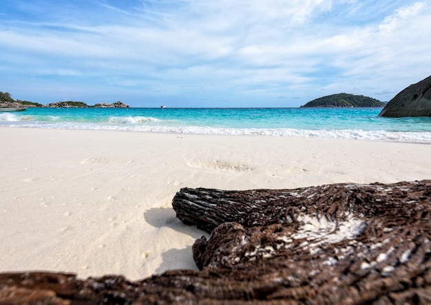 Photo old driftwood blue sea white sand and waves on the beach, beautiful nature during summer at koh miang island in mu ko similan national park, phang nga province, thailand