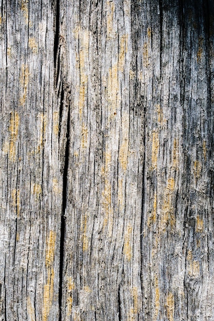 Old dry weathered boards covered with lichen