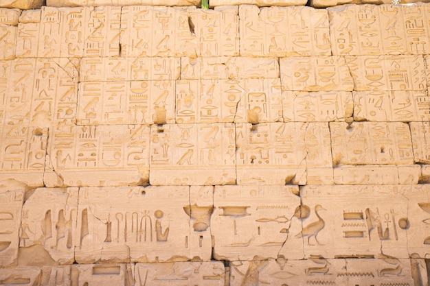 Old egypt hieroglyphs carved on the stone