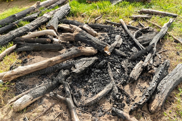 Old extinguished fire pit closeup unburned firewood on green grass