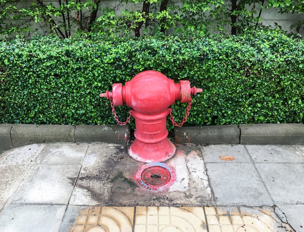 Old fire hydrant with the large valve.