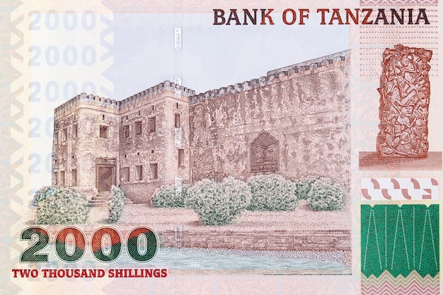 Old Fort Stone Town from Tanzanian money