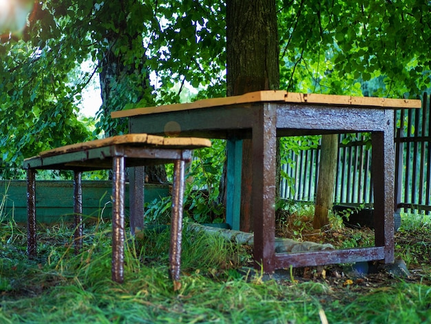 An old freshly painted table and bench under a linden tree