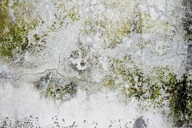 Old grunge abstract background texture dirty concrete wall