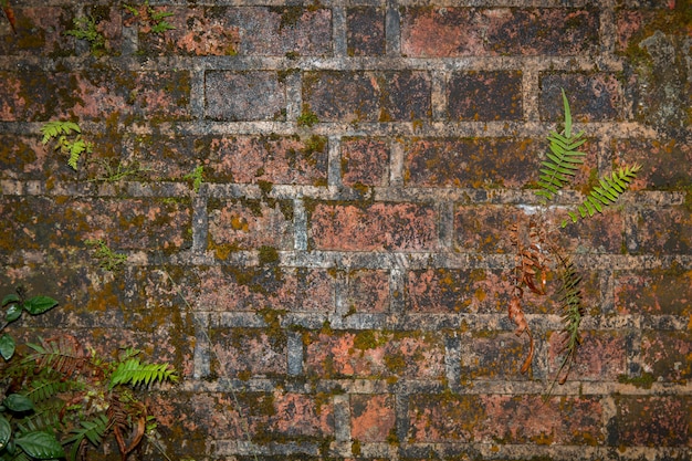 Old grunge brick wall 