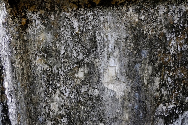 Old grunge texture background Old wall background with space