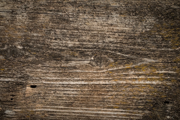 Old grunge  textured wood 