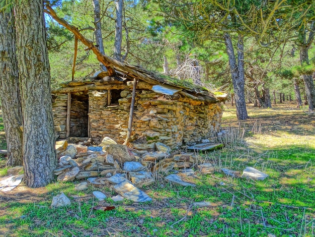 Old house on grassy field