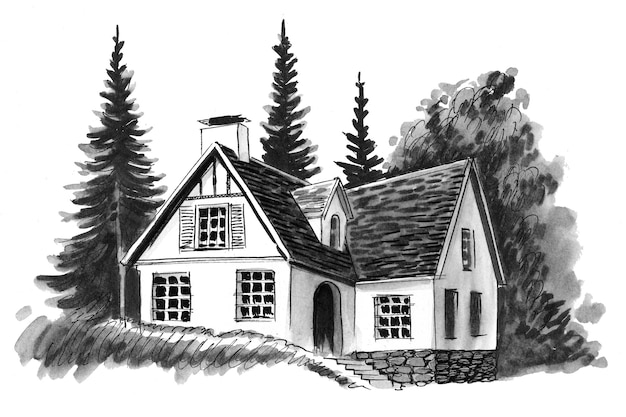 Photo old house and trees. ink black and white drawing