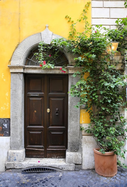 Old italian vintage door