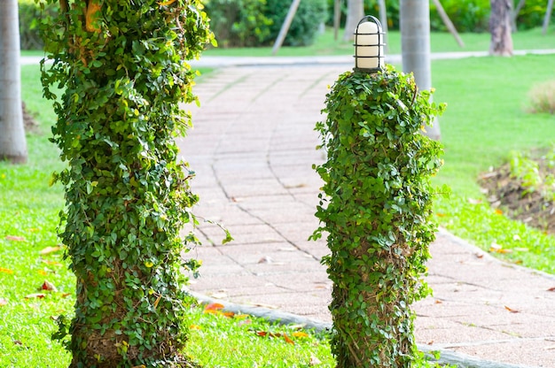 Old Lamp in the park