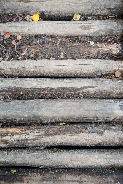 Old log road Old logs without bark Log bridge