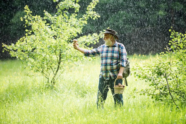 Old man walking in rain Grandpa Pensioner Senior hiking mushrooms in rainy forest Mushroom picker Bo