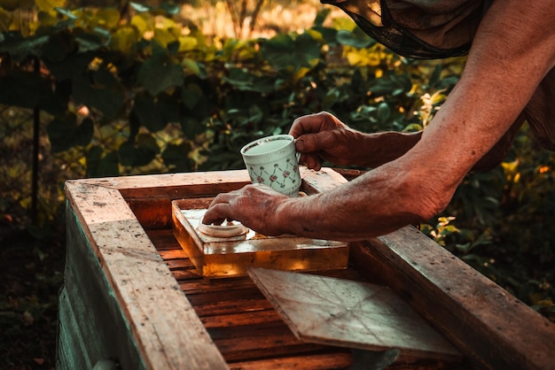 Old man working in an apiary near the beehive with honey and bees 2