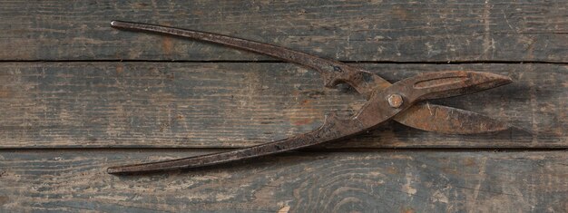 Old metal garden shears on a wooden background