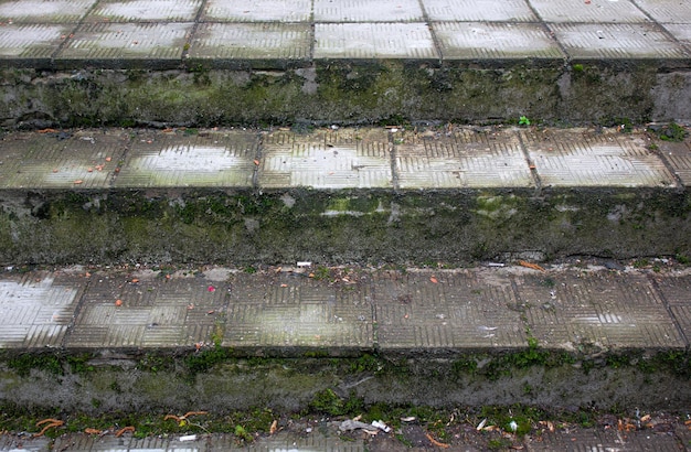 Old moldy steps Dilapidated steps from tiles Dirty damaged steps up