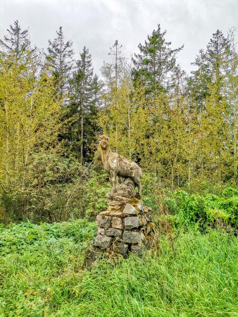 Old monument autumn in the central spa park small west bohemian spa