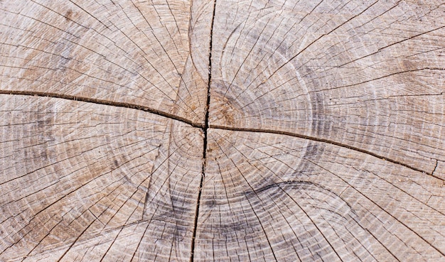 Old natural wood texture closeup Abstract background The perfect backdrop for a presentation