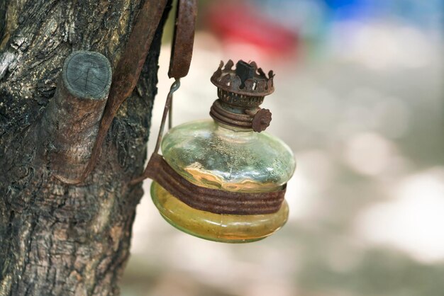 Old oil lamp hanging on a tree