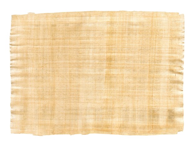 Old papyrus texture isolated on white background