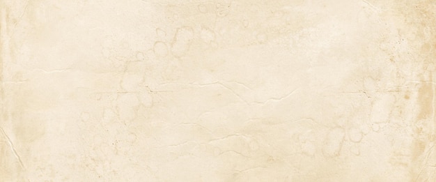 Old parchment paper texture background Banner