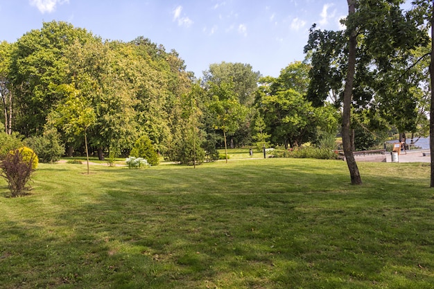 Old park with green lawns and big trees.