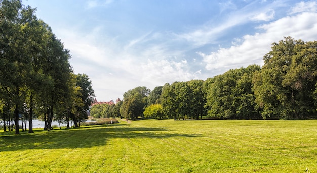 Photo old park with green lawns and big trees.