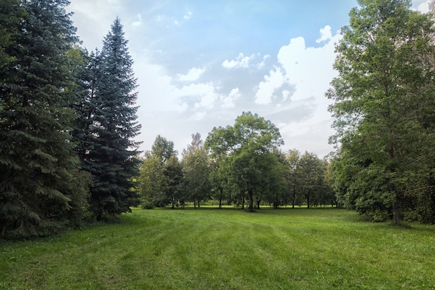 Old park with green lawns and big trees.