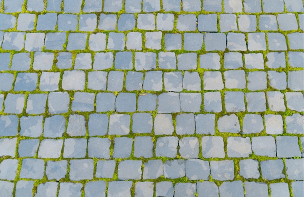 Old pavers with green grass