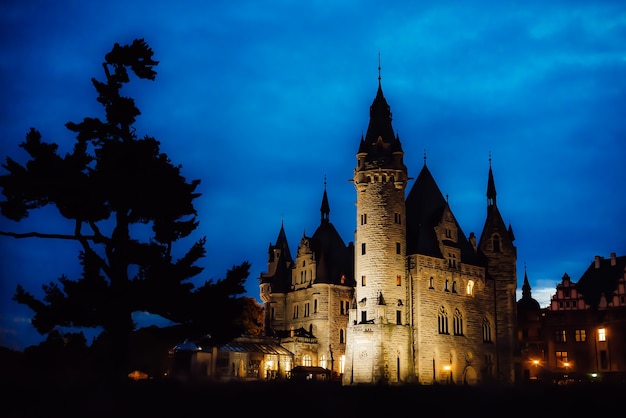 Old Polish castle in the village of moszna in the night lights