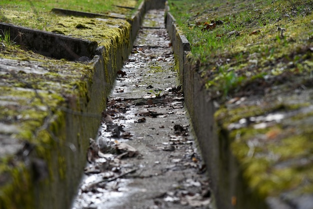 Old rain sewer in the park