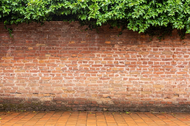 old red brick and floor with tree on top 