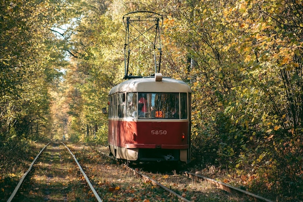 Old red tram in the autumn forest