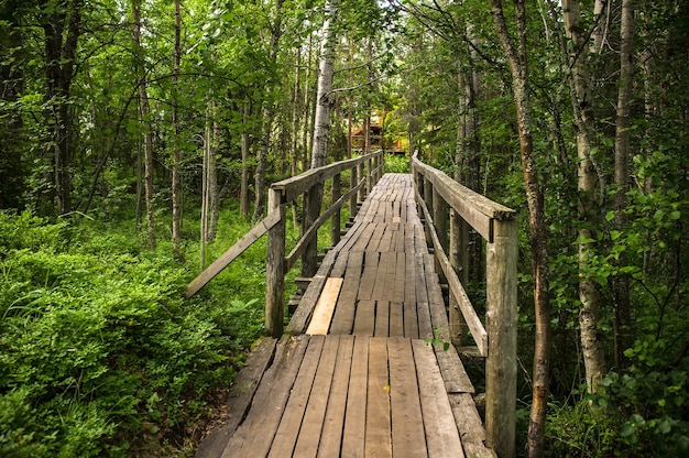 Old repaired bridge with railings through the forest.