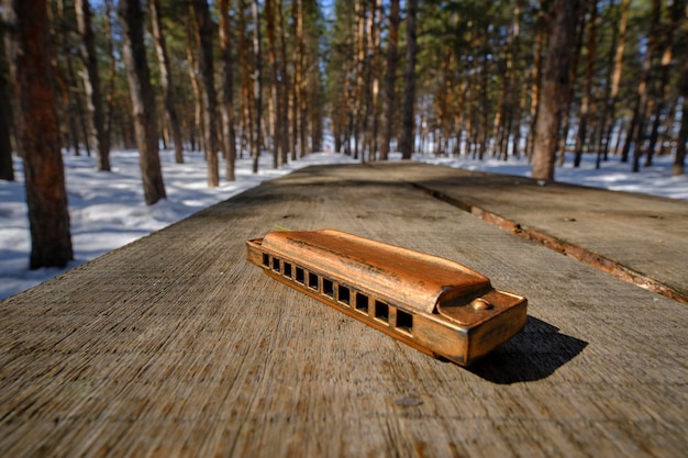 Photo old retro harmonica on wooden table in winter forest