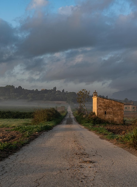 Old road in the countryside on. a foggy morning at sunrise. Majorca, Spain