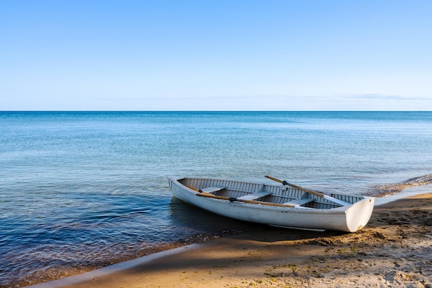 Old row boat on beach with shadow of trees Calm ocean on the horizon