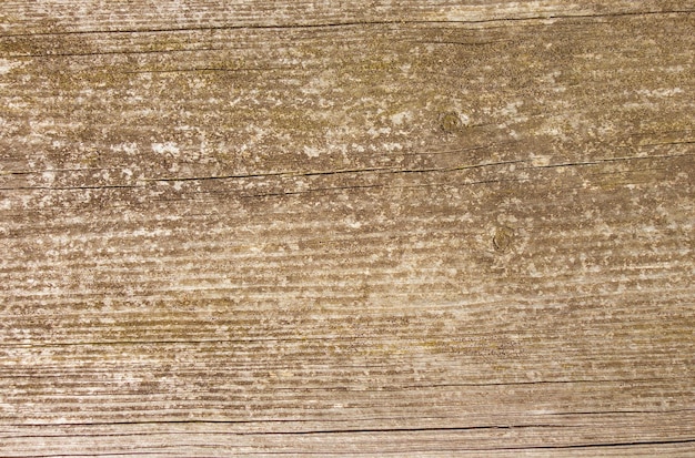 Old rustic wood background texture