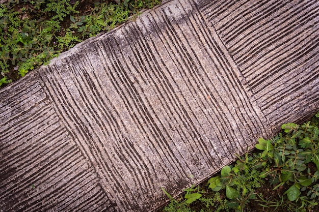 Old rustic wooden stairs in the garden