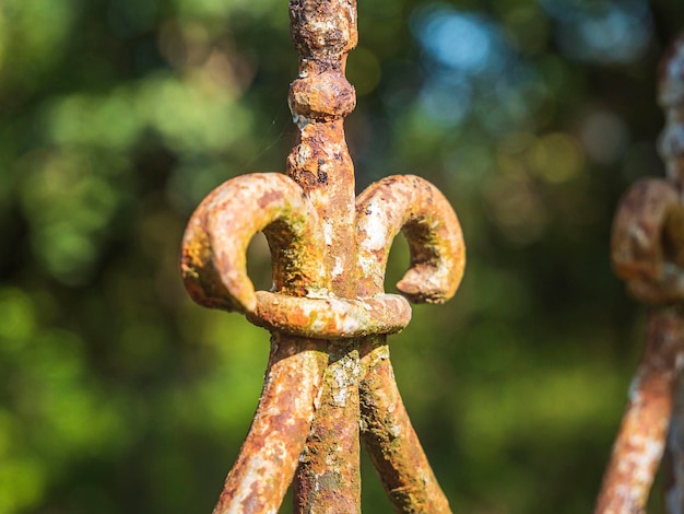 old rusty ornate Iron Fence in close up