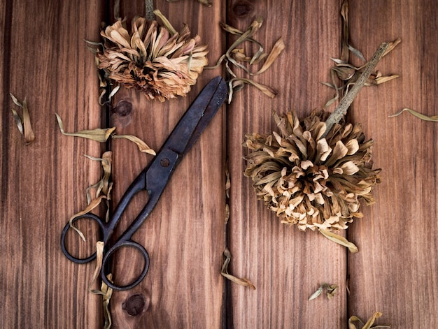 Old scissors and dried flowers