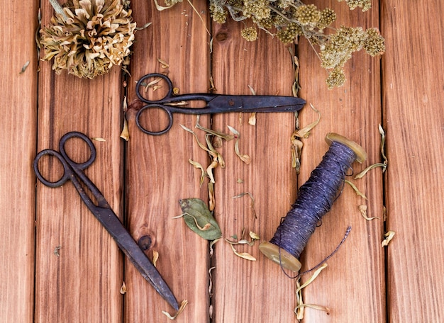 Old scissors and spool of thread on a wooden